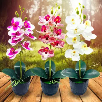 Falso Phalaenopsis Bonsai Plásticas De Embelezamento Janela De Simulação De Bonsai Vivas Coloridas Flores Artificiais Pote De Decoração De Casa
