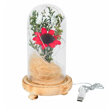 Plug-in USB Lâmpada de Mesa Ornamentos feitos à mão Quarto Atmosfera Lâmpada de Presente para o Dia dos Namorados Micro Paisagem Decoração para Festa