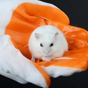 Pequenos Animais De Estimação Biteproof Luvas Smashproof Protecção Das Mãos Luvas Anti Mordida De Hamster Coelho Chinchilas Cobaias